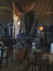 Filename=20171007_004.jpg
Filesize=371KiB
Dimensions=1536x2048
Date added=Dec 24, 2018 20171007_004.jpg