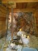 Filename=20171007_022.jpg
Filesize=574KiB
Dimensions=1536x2048
Date added=Dec 24, 2018 20171007_022.jpg