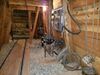 Filename=20171007_025.jpg
Filesize=509KiB
Dimensions=2048x1536
Date added=Dec 24, 2018 20171007_025.jpg