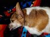Filename=20171009_004.jpg
Filesize=678KiB
Dimensions=2048x1536
Date added=Dec 24, 2018 20171009_004.jpg