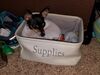 Filename=20171030_007.jpg
Filesize=698KiB
Dimensions=2048x1536
Date added=Dec 24, 2018 20171030_007.jpg
