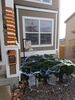 Filename=20171031_001.jpg
Filesize=663KiB
Dimensions=1536x2048
Date added=Dec 24, 2018 20171031_001.jpg