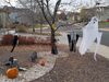 Filename=20171031_002.jpg
Filesize=1047KiB
Dimensions=2048x1536
Date added=Dec 24, 2018 20171031_002.jpg