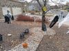 Filename=20171031_009.jpg
Filesize=1186KiB
Dimensions=2048x1536
Date added=Dec 24, 2018 20171031_009.jpg