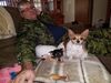 Filename=20171102_001.jpg
Filesize=465KiB
Dimensions=2048x1536
Date added=Dec 24, 2018 20171102_001.jpg