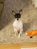 Filename=20171115_002.jpg
Filesize=619KiB
Dimensions=1536x2048
Date added=Dec 24, 2018 20171115_002.jpg