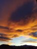Filename=20171119_007.jpg
Filesize=209KiB
Dimensions=1536x2048
Date added=Dec 24, 2018 20171119_007.jpg