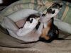 Filename=20171207_002.jpg
Filesize=492KiB
Dimensions=2048x1536
Date added=Dec 24, 2018 20171207_002.jpg
