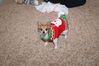 Filename=20171225_012.jpg
Filesize=669KiB
Dimensions=2047x1360
Date added=Dec 24, 2018 20171225_012.jpg
