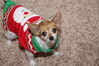 Filename=20171225_013.jpg
Filesize=543KiB
Dimensions=2047x1360
Date added=Dec 24, 2018 20171225_013.jpg