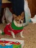 Filename=20171225_094.jpg
Filesize=403KiB
Dimensions=1536x2048
Date added=Dec 24, 2018 20171225_094.jpg