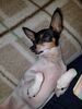 Filename=20180109_001.jpg
Filesize=440KiB
Dimensions=1536x2048
Date added=Dec 24, 2018 20180109_001.jpg