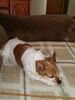 Filename=20180109_002.jpg
Filesize=370KiB
Dimensions=1536x2048
Date added=Dec 24, 2018 20180109_002.jpg