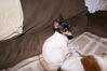 Filename=20180113_001.jpg
Filesize=383KiB
Dimensions=2047x1370
Date added=Jul 18, 2021 20180113_001.jpg