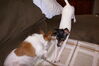 Filename=20180113_002.jpg
Filesize=405KiB
Dimensions=2047x1370
Date added=Jul 18, 2021 20180113_002.jpg