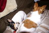 Filename=20180113_003.jpg
Filesize=398KiB
Dimensions=2047x1370
Date added=Jul 18, 2021 20180113_003.jpg