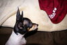 Filename=20180113_004.jpg
Filesize=320KiB
Dimensions=2047x1370
Date added=Jul 18, 2021 20180113_004.jpg