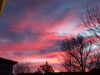 Filename=20180119_003.jpg
Filesize=413KiB
Dimensions=2048x1536
Date added=Dec 24, 2018 20180119_003.jpg