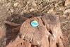 Filename=20180120_002.jpg
Filesize=771KiB
Dimensions=2047x1370
Date added=Dec 24, 2018 20180120_002.jpg
