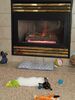 Filename=20180121_001.jpg
Filesize=479KiB
Dimensions=1536x2048
Date added=Dec 24, 2018 20180121_001.jpg