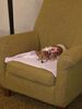Filename=20180210_003.jpg
Filesize=473KiB
Dimensions=1536x2048
Date added=Dec 24, 2018 20180210_003.jpg