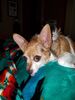 Filename=20180217_001.jpg
Filesize=459KiB
Dimensions=1536x2048
Date added=Dec 24, 2018 20180217_001.jpg