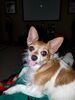 Filename=20180217_002.jpg
Filesize=476KiB
Dimensions=1536x2048
Date added=Dec 24, 2018 20180217_002.jpg