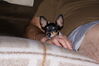 Filename=20180226_002.jpg
Filesize=323KiB
Dimensions=2047x1370
Date added=Dec 24, 2018 20180226_002.jpg