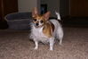 Filename=20180226_006.jpg
Filesize=474KiB
Dimensions=2047x1370
Date added=Dec 24, 2018 20180226_006.jpg