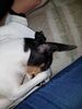 Filename=20180306_001.jpg
Filesize=521KiB
Dimensions=1536x2048
Date added=Dec 24, 2018 20180306_001.jpg