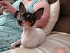 Filename=20180311_001.jpg
Filesize=322KiB
Dimensions=2048x1536
Date added=Dec 24, 2018 20180311_001.jpg