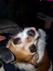 Filename=20180319_001.jpg
Filesize=362KiB
Dimensions=1536x2048
Date added=Dec 24, 2018 20180319_001.jpg