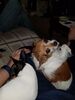 Filename=20180319_002.jpg
Filesize=342KiB
Dimensions=1536x2048
Date added=Dec 24, 2018 20180319_002.jpg