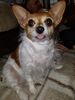 Filename=20180320_001.jpg
Filesize=481KiB
Dimensions=1536x2048
Date added=Dec 24, 2018 20180320_001.jpg