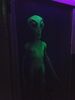 Filename=20180327_139.jpg
Filesize=262KiB
Dimensions=1536x2048
Date added=Dec 24, 2018 20180327_139.jpg