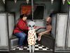 Filename=20180327_148.jpg
Filesize=430KiB
Dimensions=2048x1536
Date added=Dec 24, 2018 20180327_148.jpg