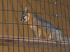 Filename=20180328_002.jpg
Filesize=355KiB
Dimensions=2048x1536
Date added=Dec 24, 2018 20180328_002.jpg