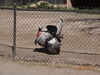 Filename=20180328_006.jpg
Filesize=997KiB
Dimensions=2048x1536
Date added=Dec 24, 2018 20180328_006.jpg
