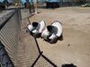 Filename=20180328_007.jpg
Filesize=919KiB
Dimensions=2048x1536
Date added=Dec 24, 2018 20180328_007.jpg