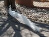 Filename=20180328_008.jpg
Filesize=833KiB
Dimensions=2048x1536
Date added=Dec 24, 2018 20180328_008.jpg