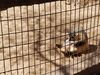Filename=20180328_012.jpg
Filesize=566KiB
Dimensions=2048x1536
Date added=Dec 24, 2018 20180328_012.jpg