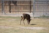 Filename=20180328_019.jpg
Filesize=677KiB
Dimensions=2047x1360
Date added=Dec 24, 2018 20180328_019.jpg