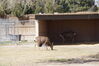 Filename=20180328_021.jpg
Filesize=570KiB
Dimensions=2047x1360
Date added=Dec 24, 2018 20180328_021.jpg