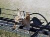 Filename=20180328_032.jpg
Filesize=760KiB
Dimensions=2048x1536
Date added=Dec 24, 2018 20180328_032.jpg