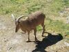 Filename=20180328_035.jpg
Filesize=718KiB
Dimensions=2048x1536
Date added=Dec 24, 2018 20180328_035.jpg