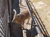 Filename=20180328_037.jpg
Filesize=1003KiB
Dimensions=2048x1536
Date added=Dec 24, 2018 20180328_037.jpg