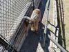 Filename=20180328_040.jpg
Filesize=1093KiB
Dimensions=2048x1536
Date added=Dec 24, 2018 20180328_040.jpg