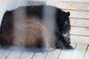 Filename=20180328_042.jpg
Filesize=304KiB
Dimensions=2047x1360
Date added=Dec 24, 2018 20180328_042.jpg