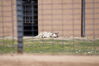 Filename=20180328_049.jpg
Filesize=422KiB
Dimensions=2047x1360
Date added=Dec 24, 2018 20180328_049.jpg