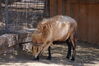 Filename=20180328_052.jpg
Filesize=507KiB
Dimensions=2047x1360
Date added=Dec 24, 2018 20180328_052.jpg
